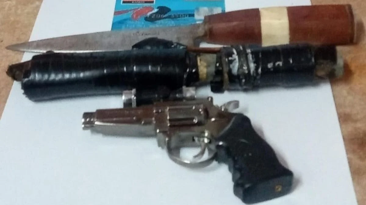 Capturaron a un delincuente que portaba armas tumberas en La Plata