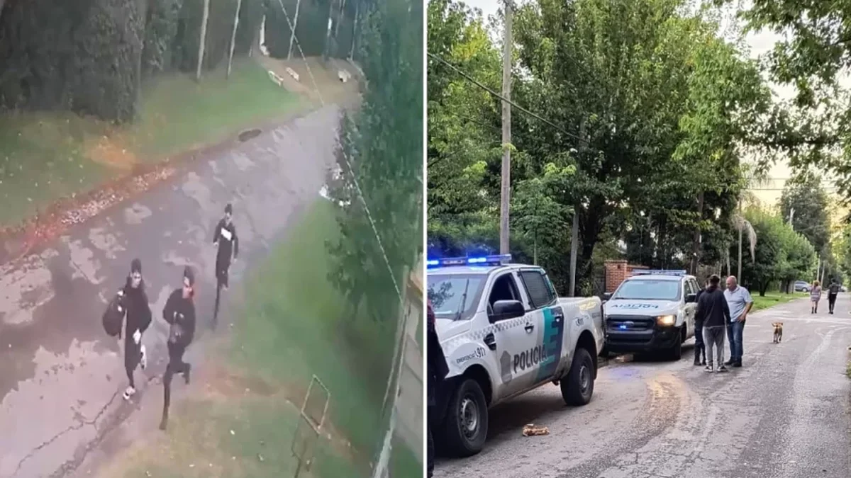 Atraparon a tres chilenos que robaban casas en Villa Elisa