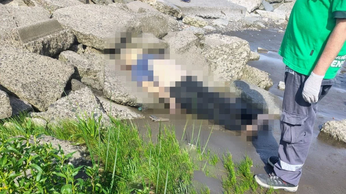 Confirmaron que el exfuncionario de Ensenada se suicidó