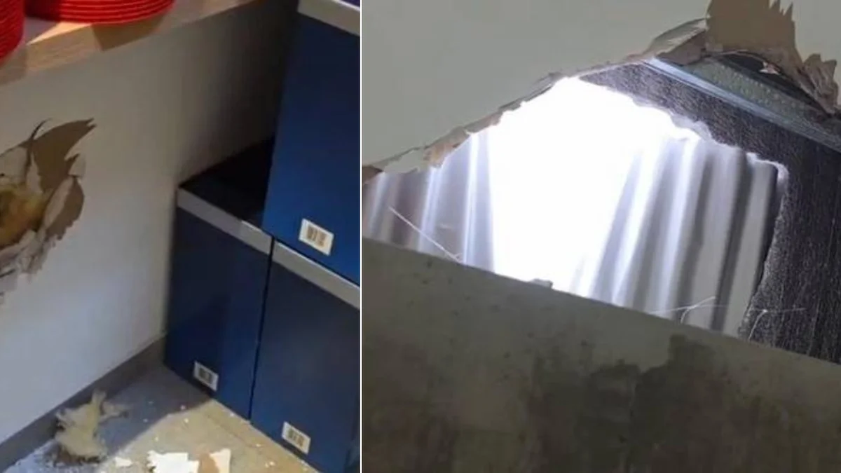 Hicieron un boquete en un comercio de La Plata y robaron hasta las cajas navideñas