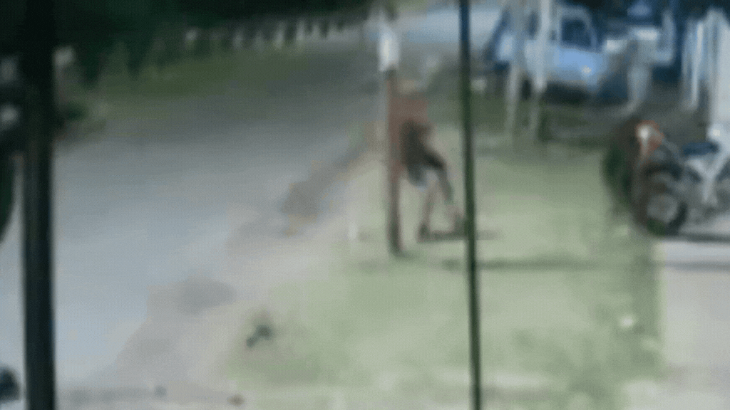 Un hombre se defendió a piñas y patadas de un robo en San Carlos