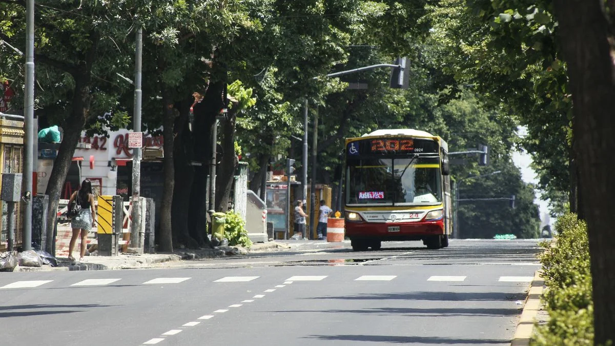 Aumentó el boleto de micro en La Plata: los nuevos valores desde este domingo