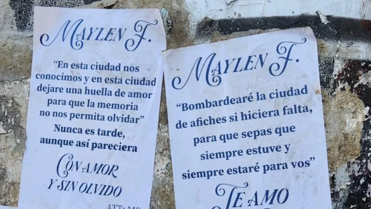 Llamativos afiches aparecieron en el centro de La Plata