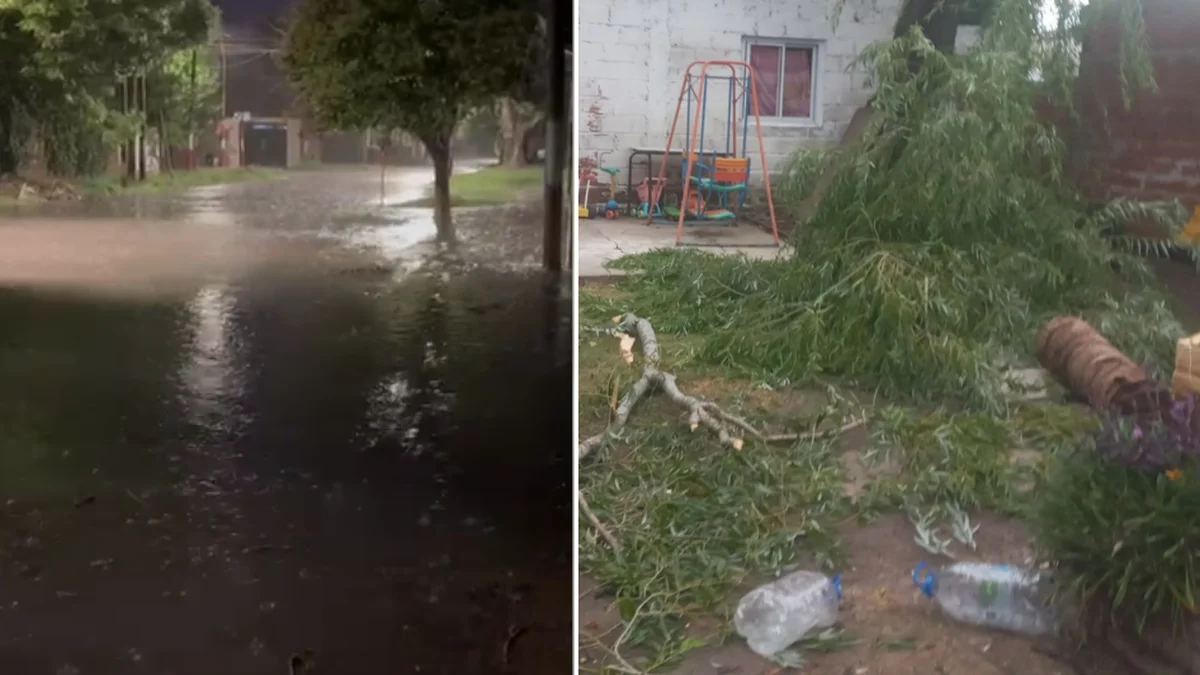 Falta de alerta, inundados y destrozos en las calles de La Plata