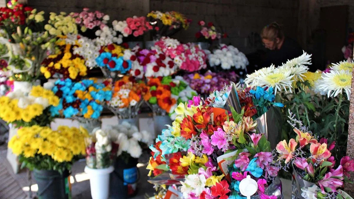 ¿Cómo serán los nuevos puestos de flores en La Plata?