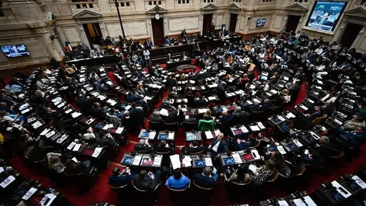 Diputados va por la insistencia con las Emergencias del Garrahan y las Universidaes