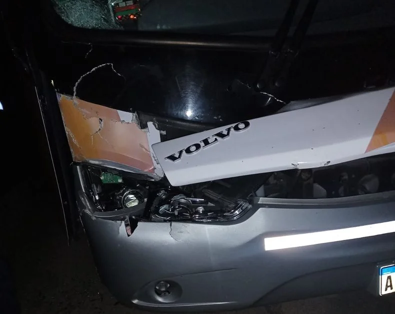 As&iacute; qued&oacute; el micro que embisti&oacute; a una mujer en La Plata