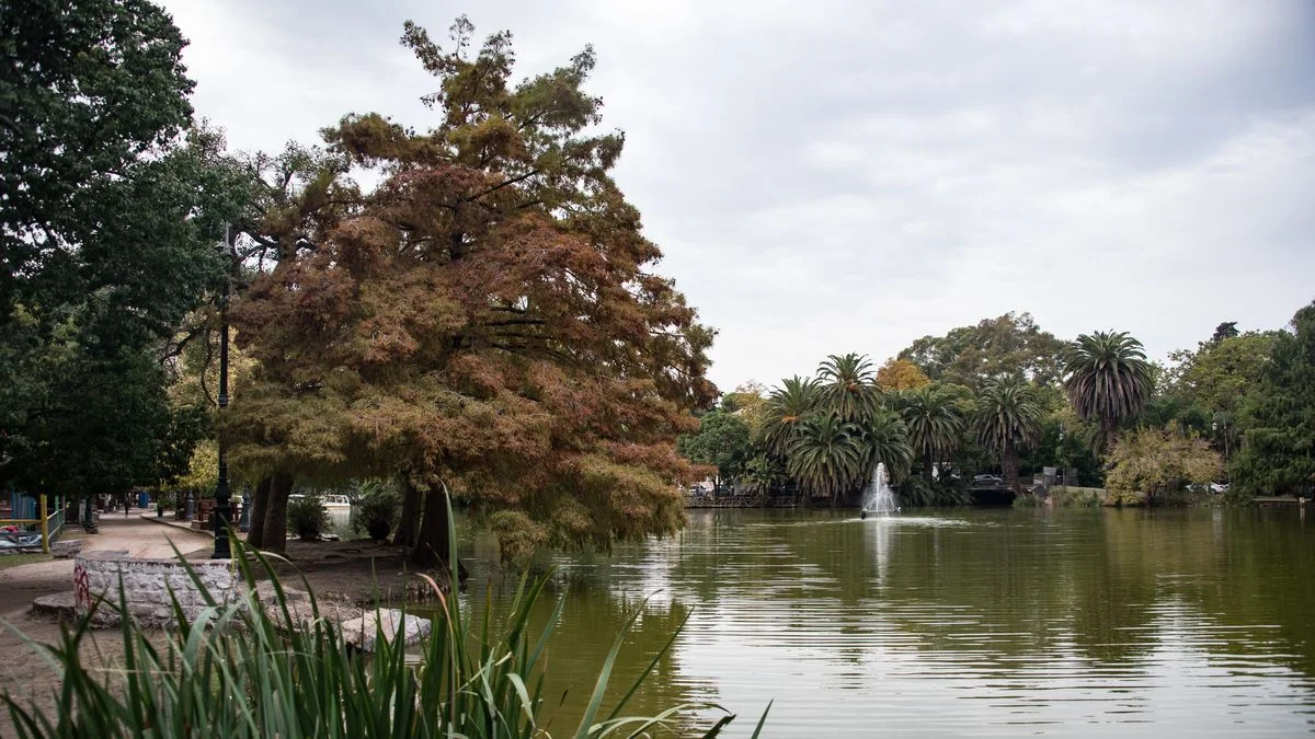 Persiste el alerta por cianobacterias en un lago de La Plata