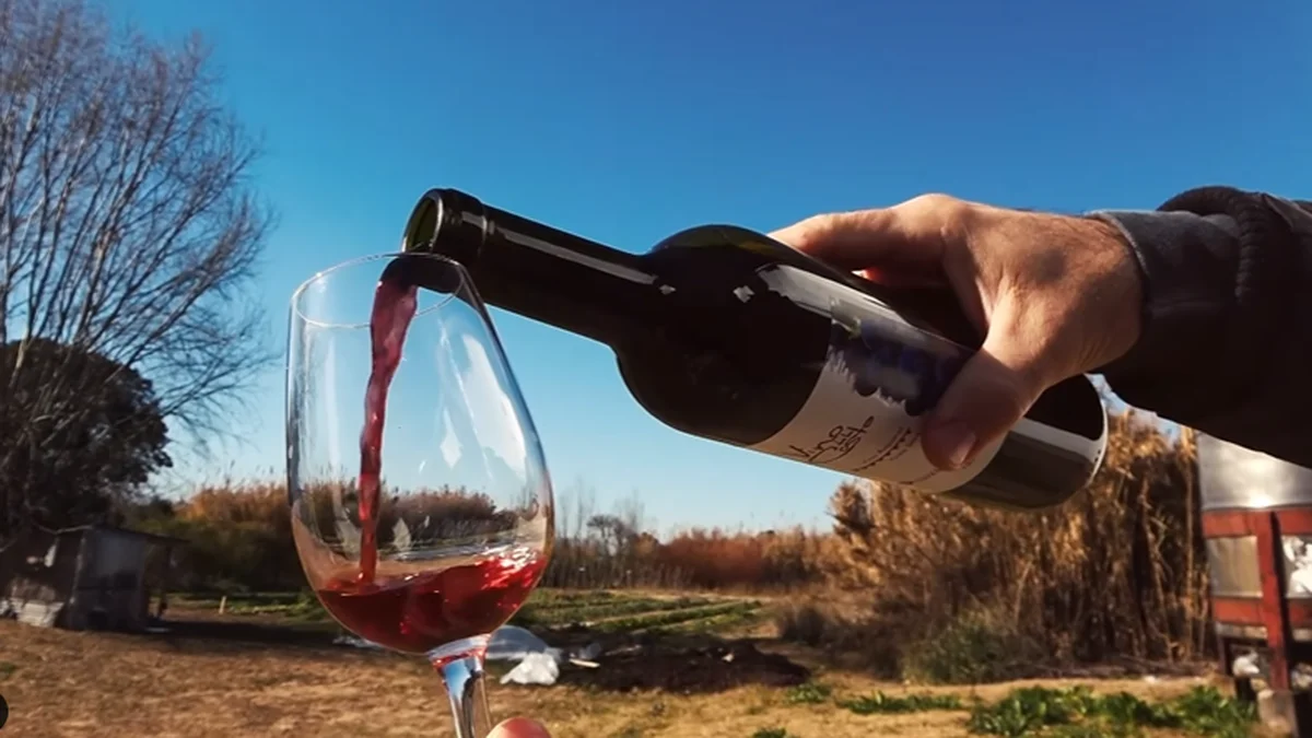 Berisso le puso fecha a una nueva Fiesta del Vino de la Costa