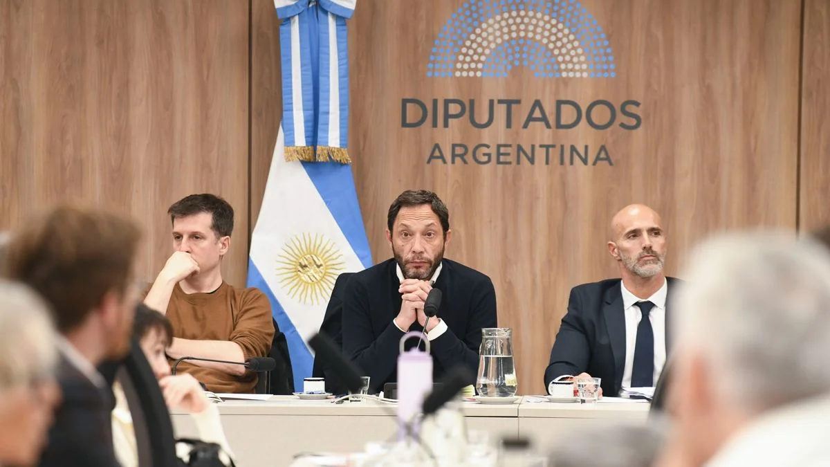 Diputados convocaron a una conferencia de prensa por las novedades en el Caso $Libra