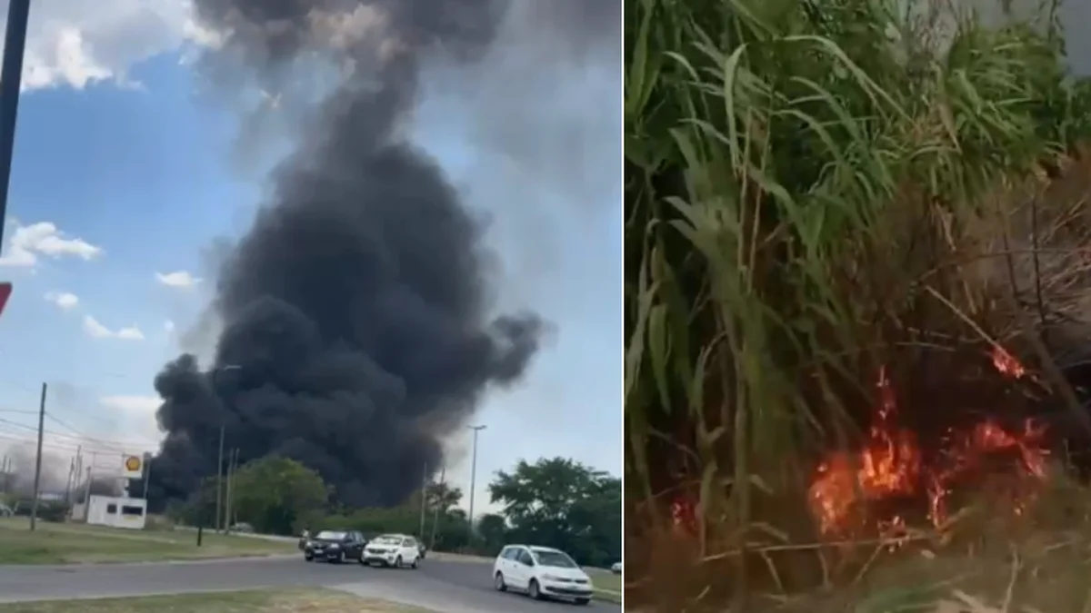 Fuego y humo en La Plata: ¿Qué pasó?
