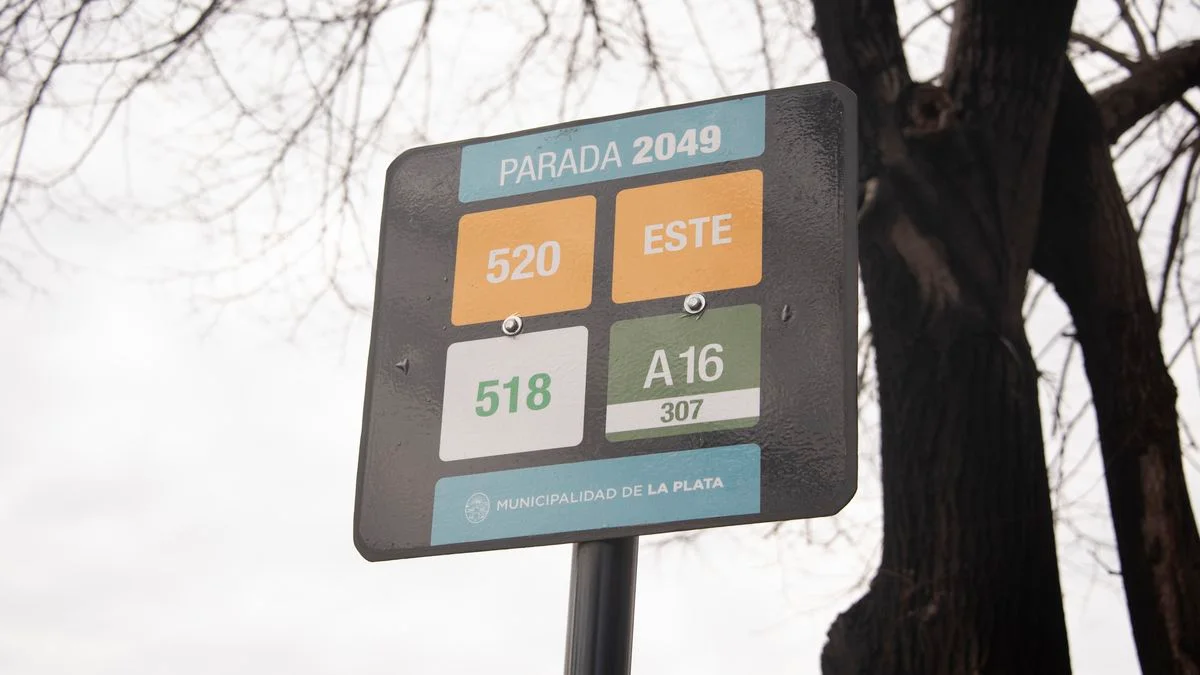 Habrá micros gratis para ir a votar en La Plata
