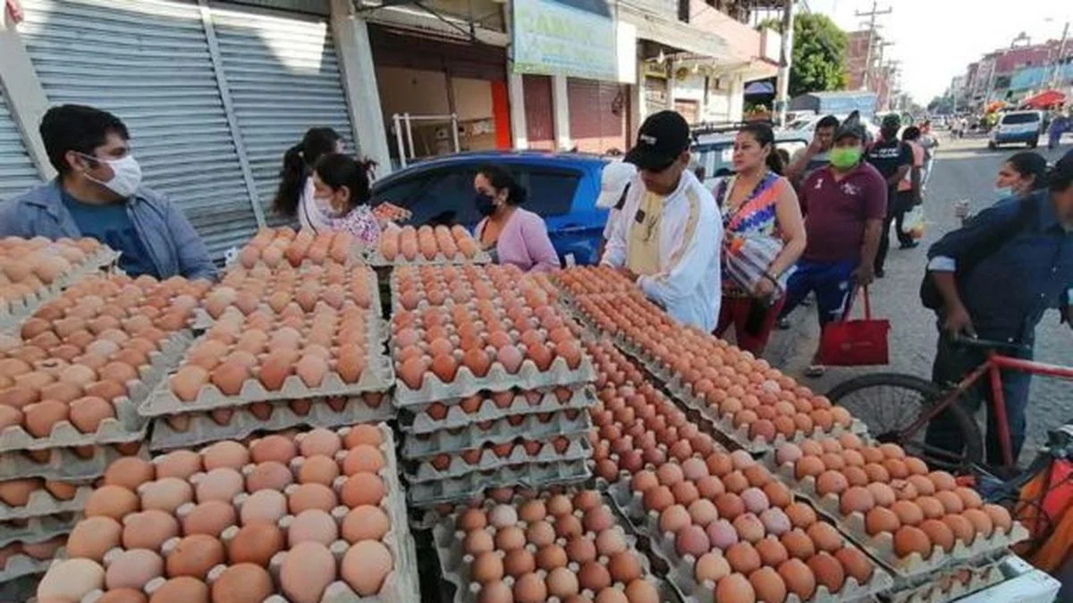 El boom de las "tiendas de huevos" y la preocupación por la falta de etiquetado en origen