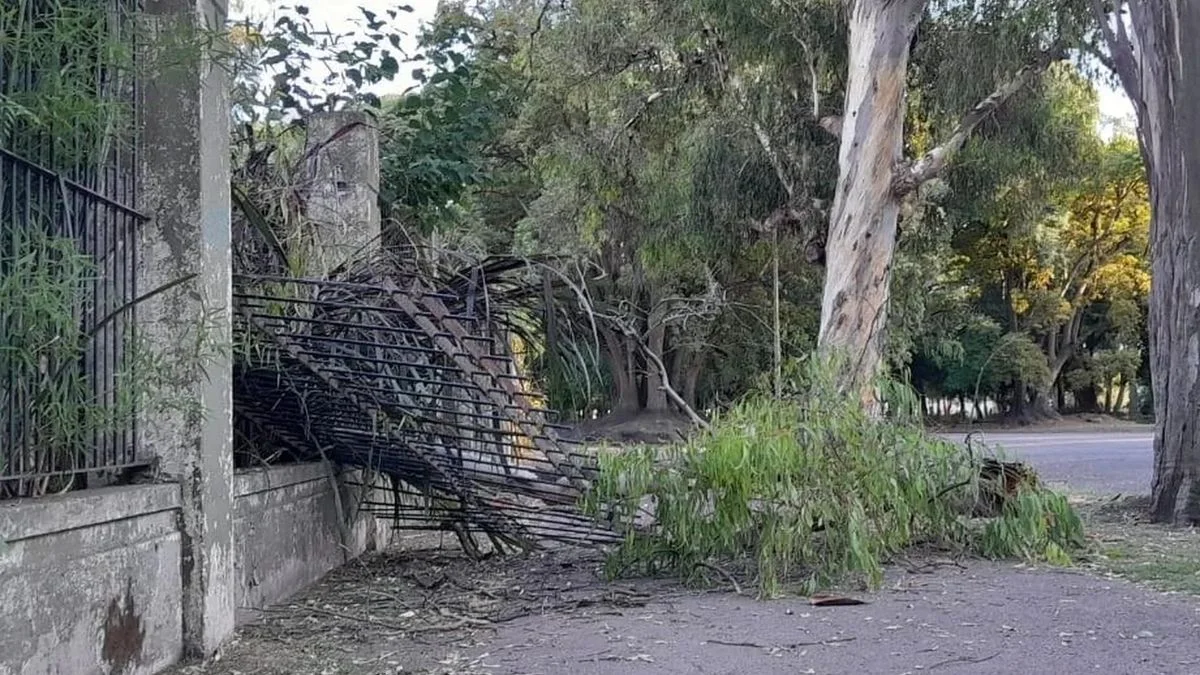 Un árbol cayó y rompió una reja del Bioparque