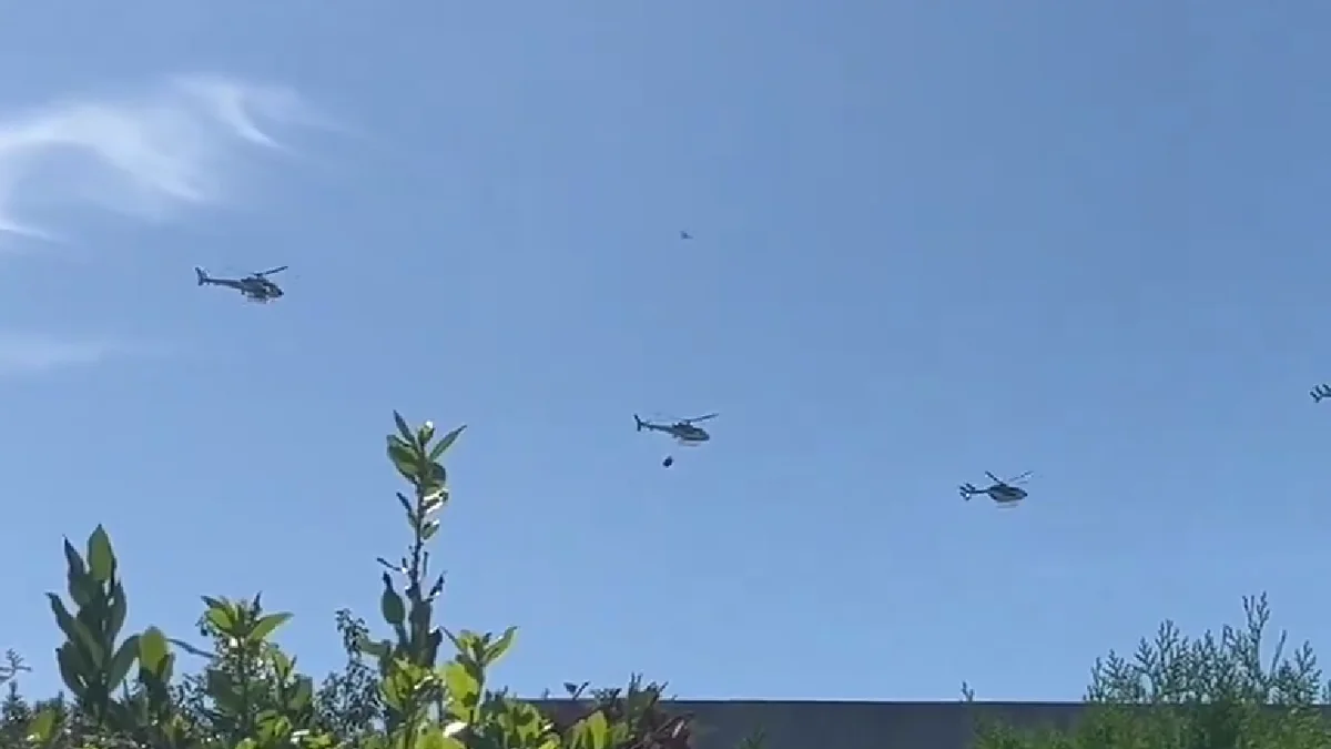 ¿Por qué hubo helicópteros sobrevolando La Plata y sus alrededores?