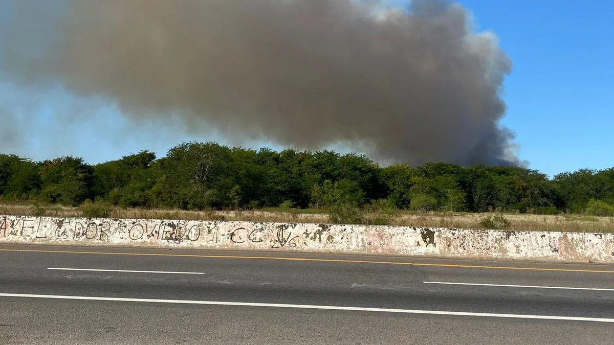 Incendios forestales alertaron a los vecinos de La Plata