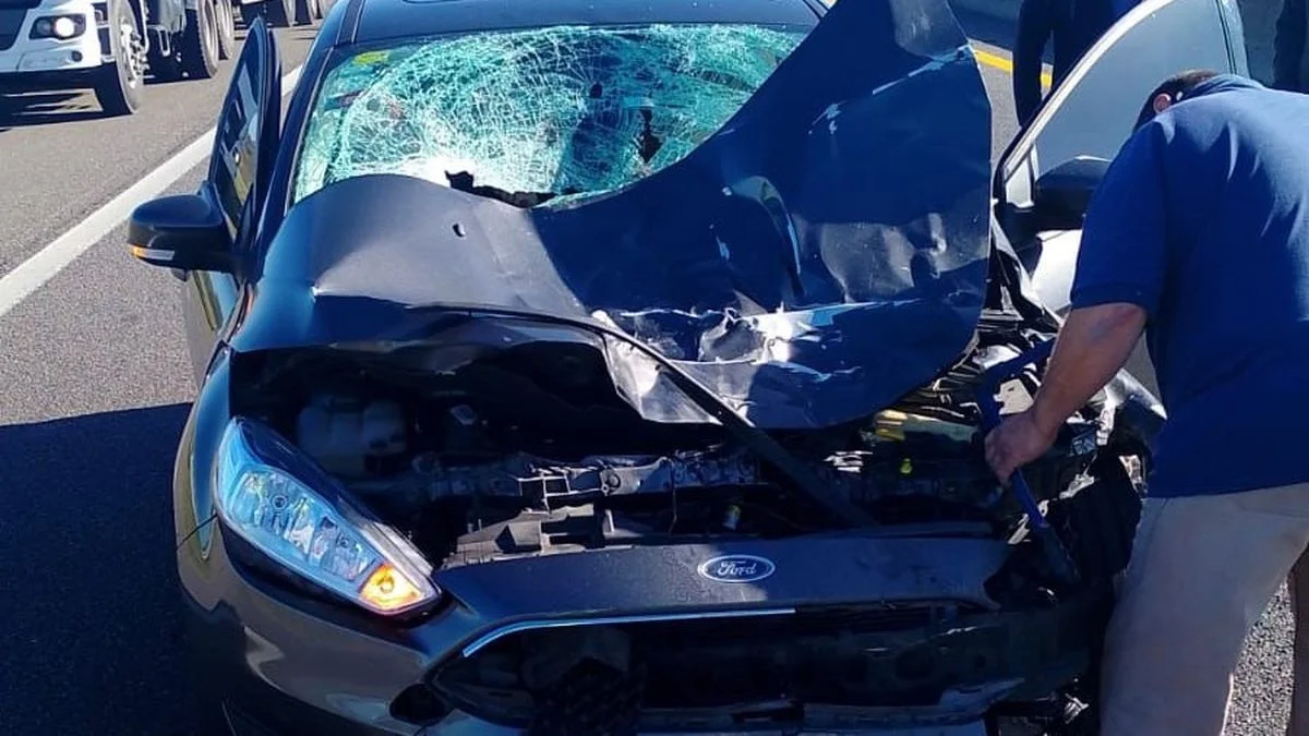 Impresionante choque entre un auto y un caballo en la Autopista Buenos Aires - La Plata