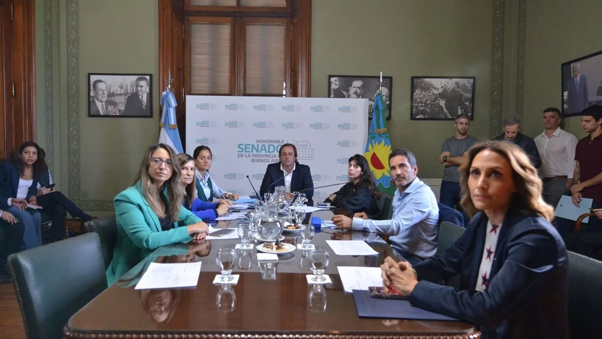 Avanza en el Senado la re-reelección para todos, menos para intendentes