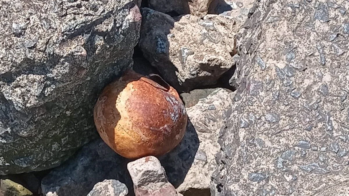 Encontraron varios cráneos humanos en las orillas del Río de la Plata