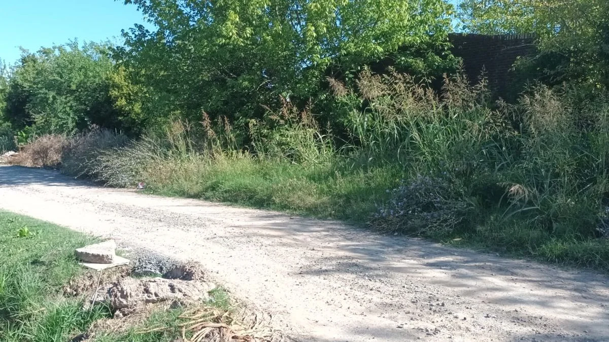 "La ambulancia no entra": problemas en el Barrio Parque de Melchor Romero