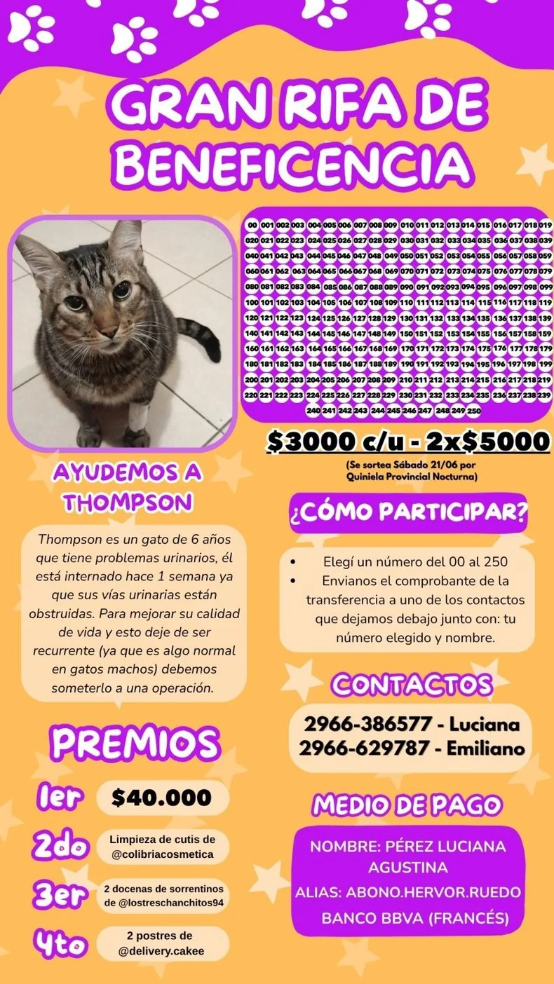 Los n&uacute;meros de la rifa de la campa&ntilde;a solidaria que una familia platense lanz&oacute; por su gato