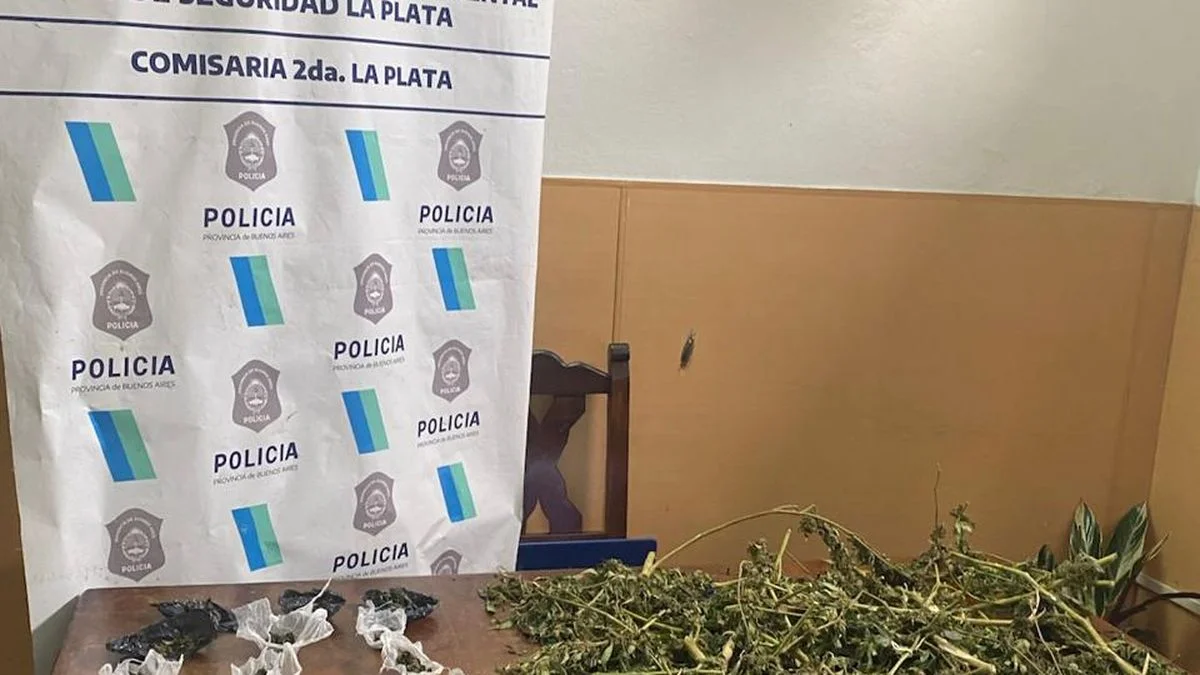 Detuvieron a un joven con más de 2 kilos de marihuana en la Terminal de La Plata