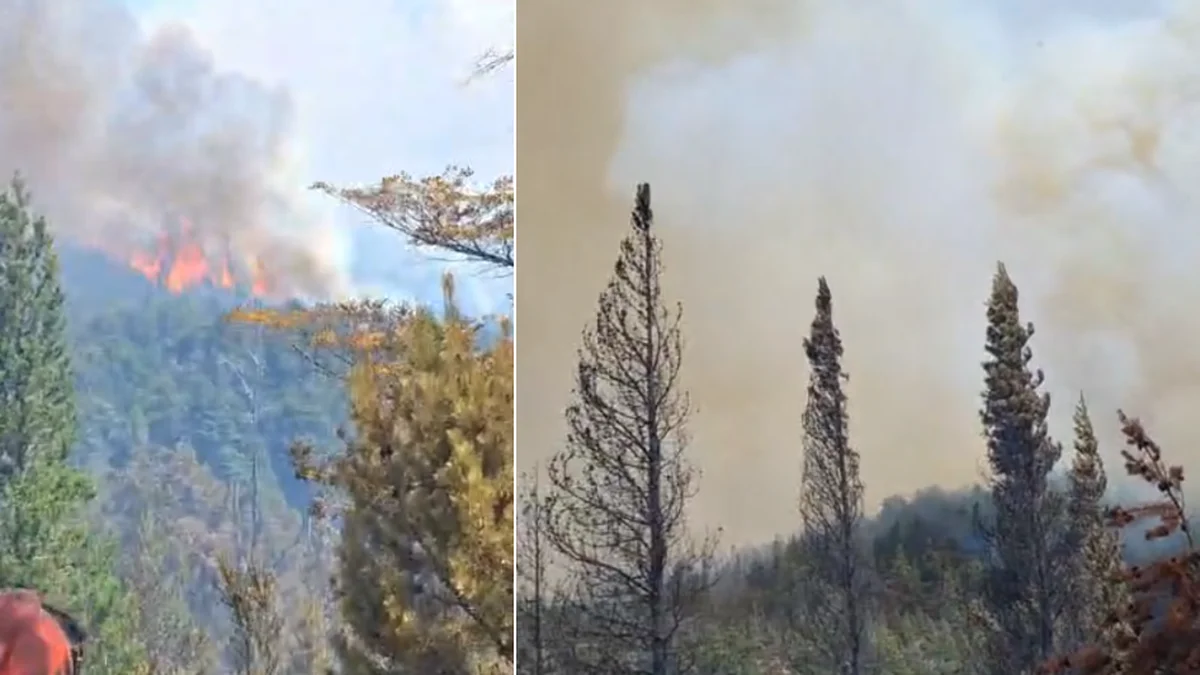 Un Bombero de Villa Elvira está combatiendo incendios en El Bolsón