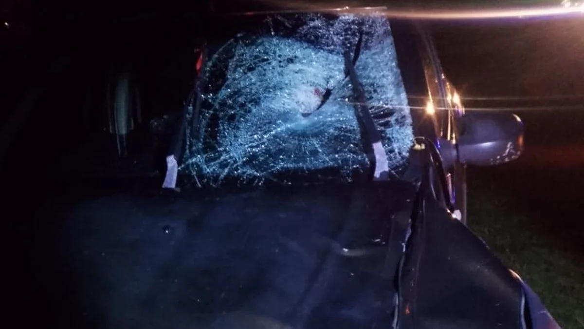 Quién era el vecino de Punta Lara que murió en un terrible accidente en Diagonal 74