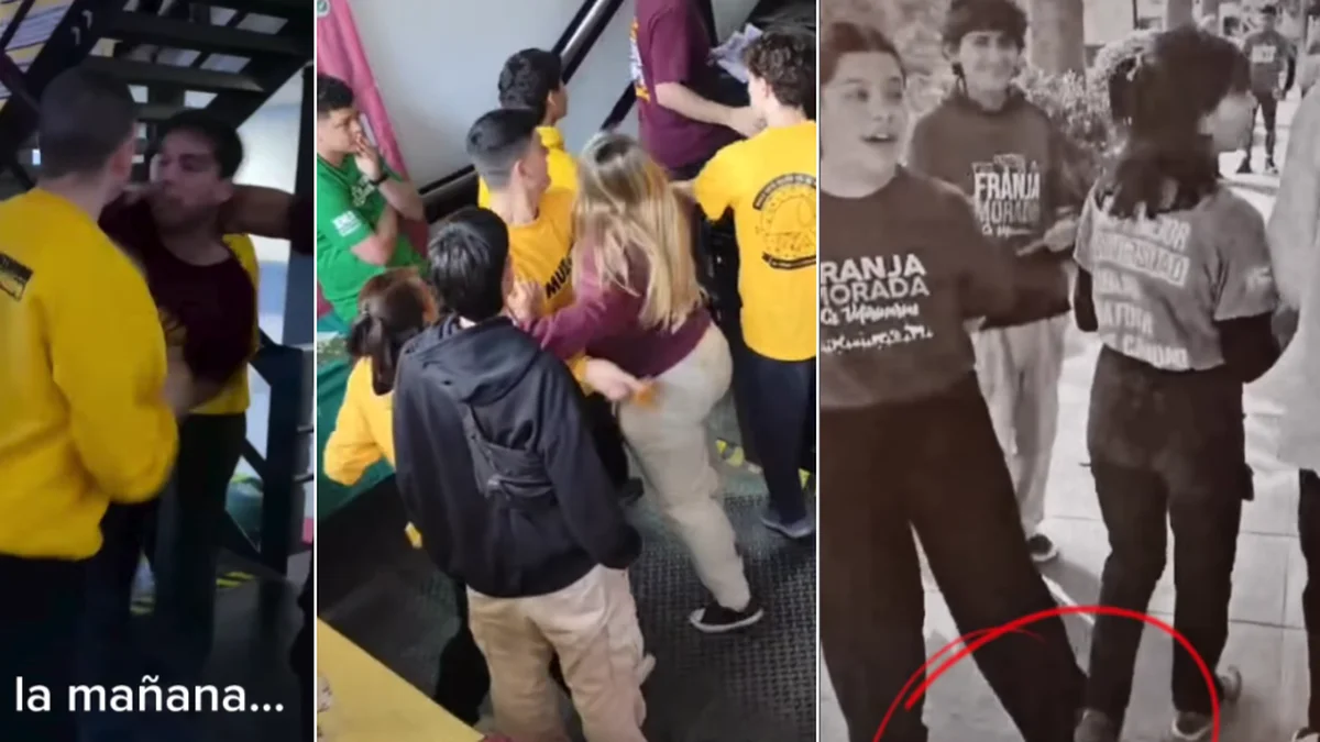 Piñas y empujones en el cierre de las elecciones en la UNLP