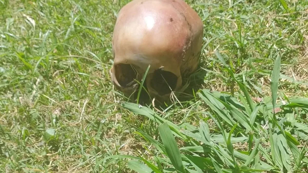 Macabro hallazgo en el oeste de La Plata