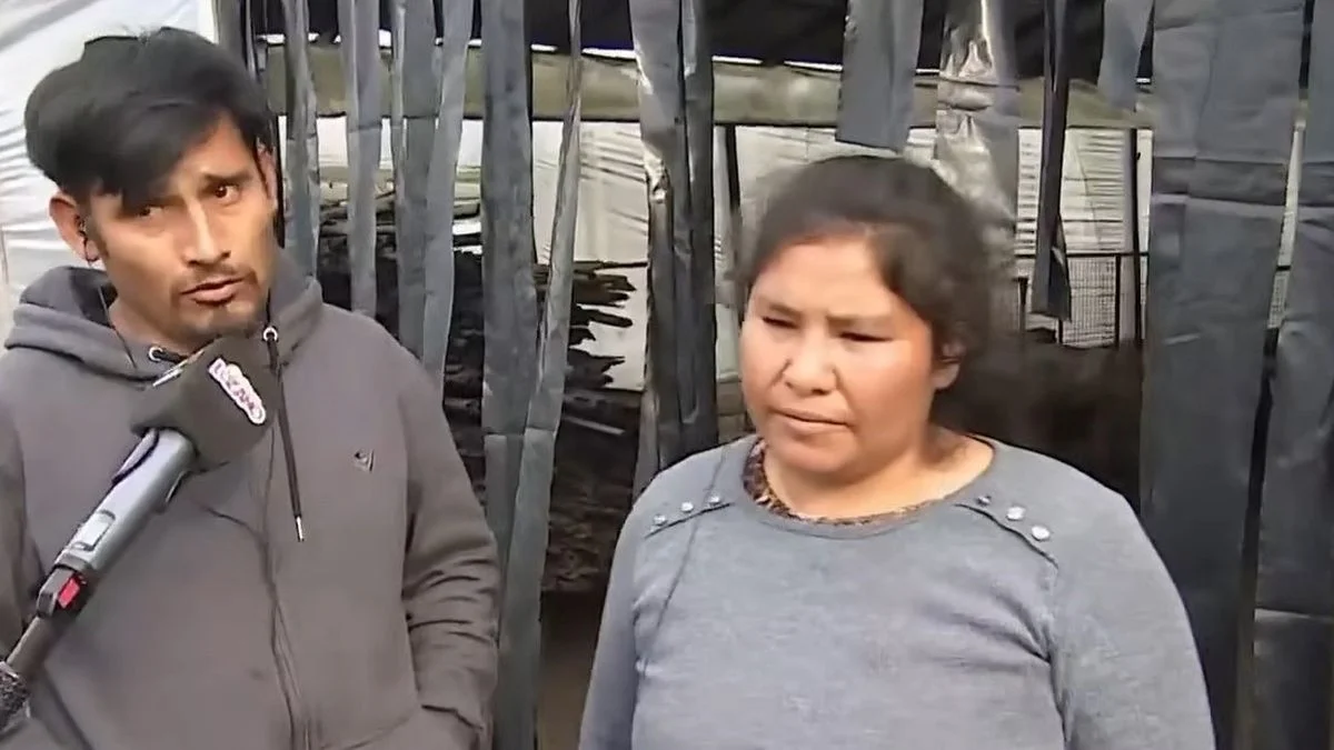 Hablaron los dueños de los perros que mataron a un nene en La Plata