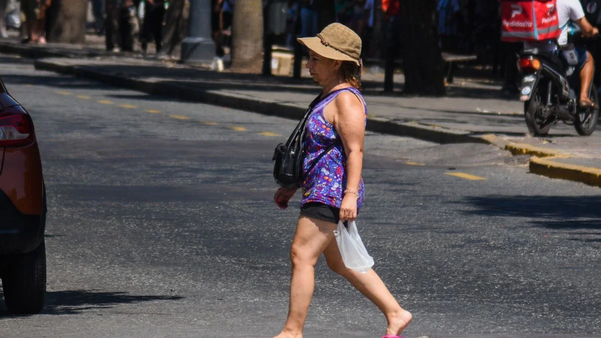 La Plata en llamas: llega el momento más extremo de la ola de calor
