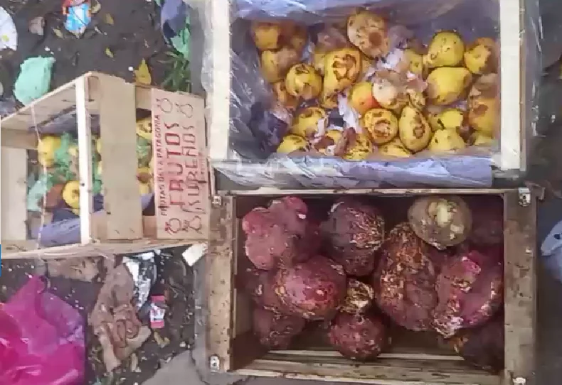 Comida en mal estado en una escuela de Colonia Urquiza