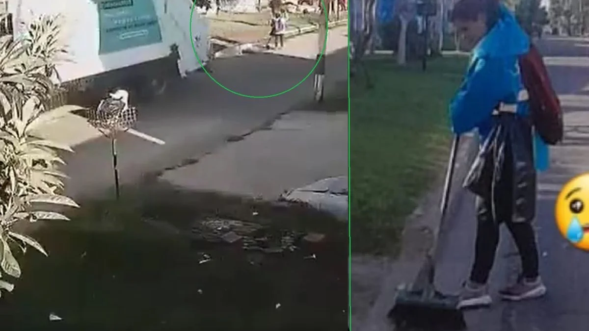 Marcha atrás y muerte en La Plata: así fue arrollada la barrendera por un camión de basura