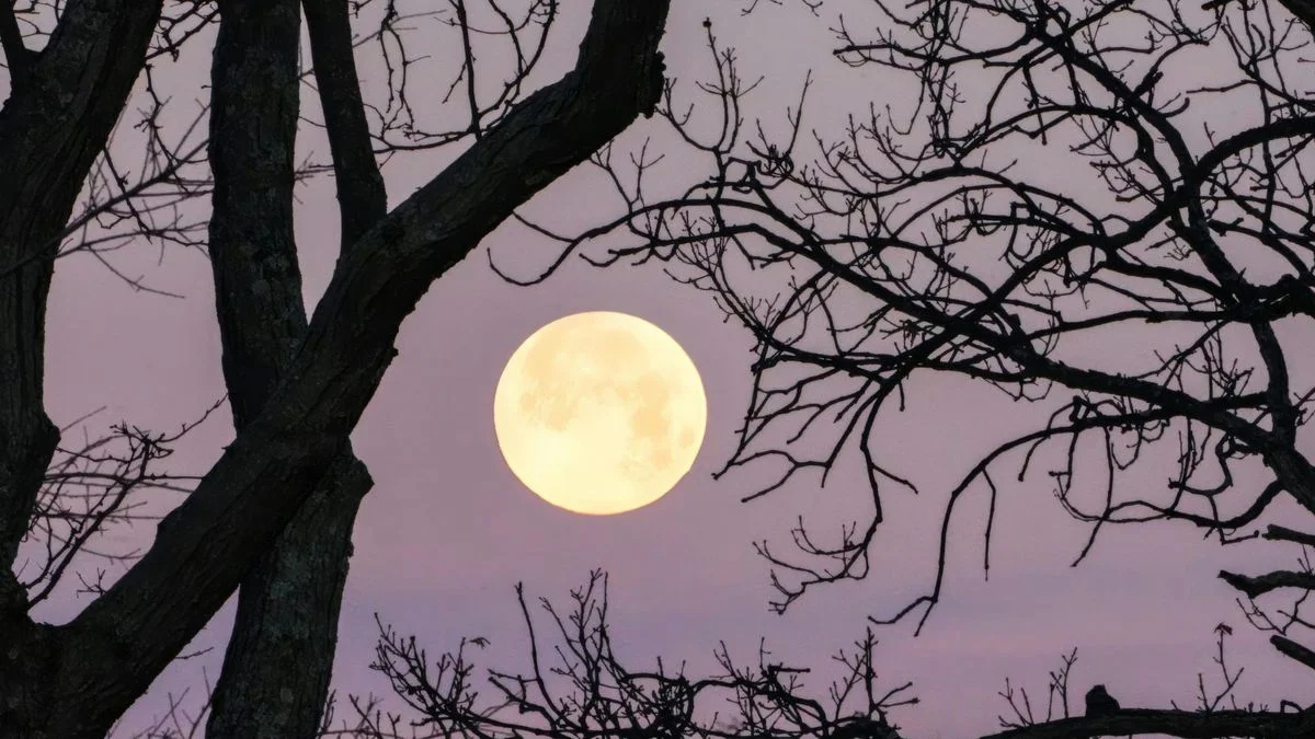Ensenada invita a los vecinos a disfrutar la luna llena