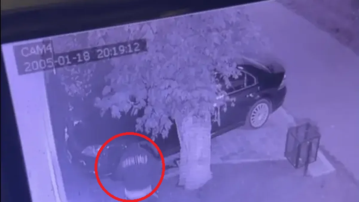 Terror en Arturo Seguí: cuatro ladrones atacaron a una madre y sus hijos