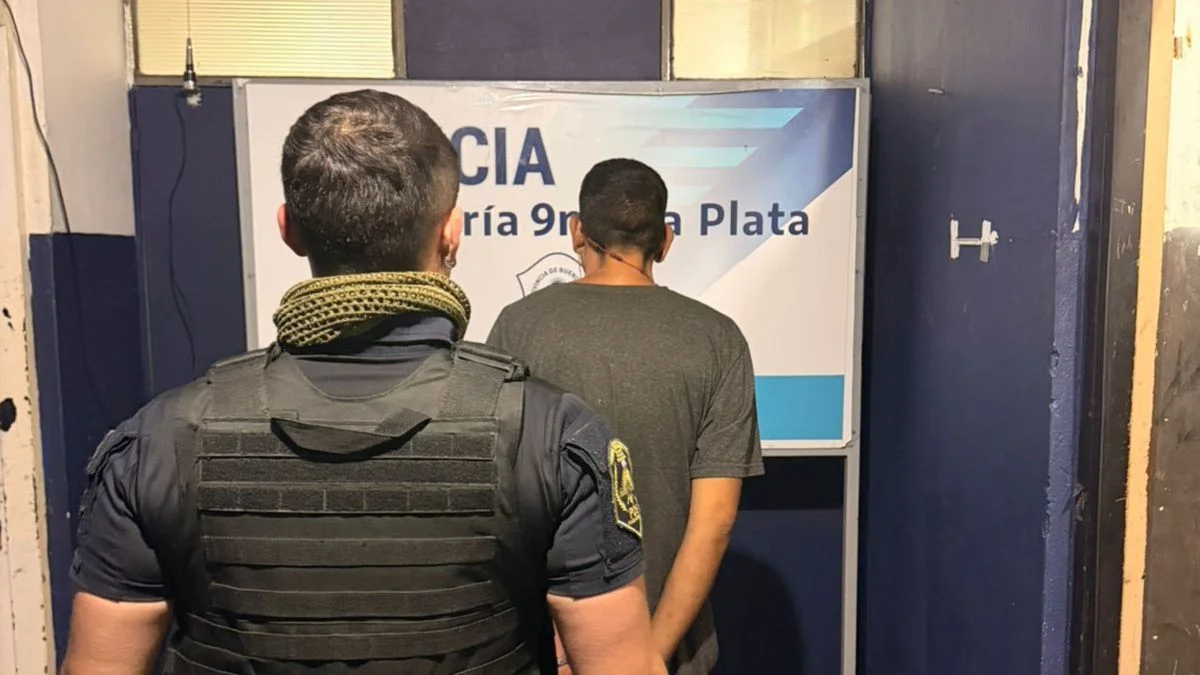Detuvieron a un joven en La Plata tras intentar robarle el arma a un policía