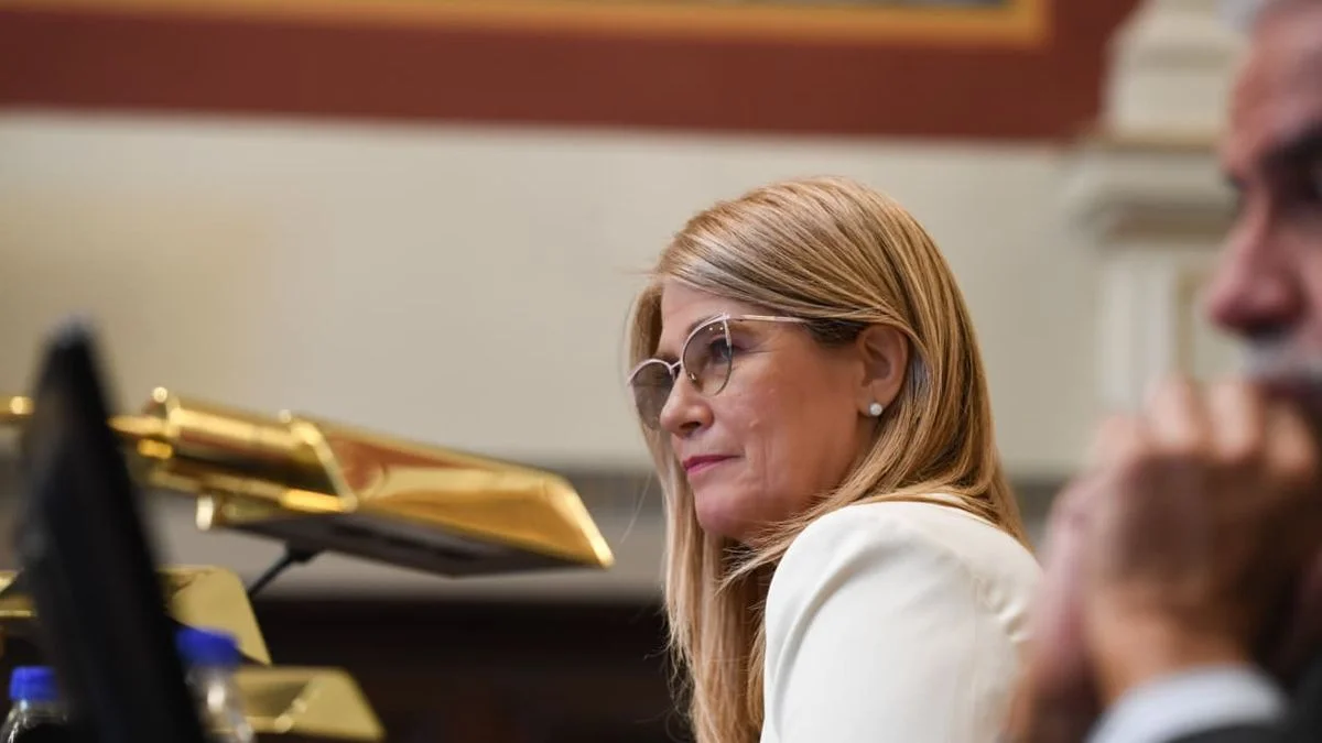 El Senado de la Provincia volvería a sesionar la próxima semana