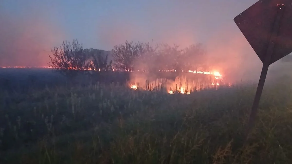 Ruta 6: impactante incendio a las afueras de La Plata