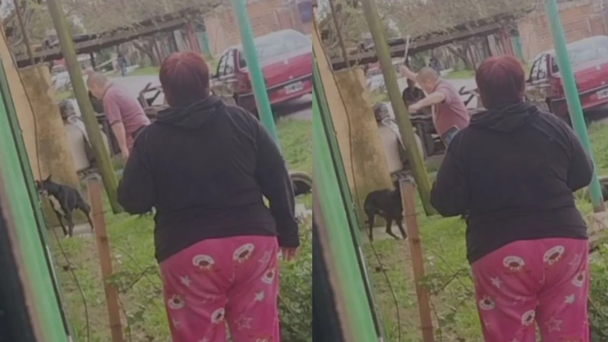 Maltrato animal en La Plata: captaron a un hombre golpeando a un perro con un caño
