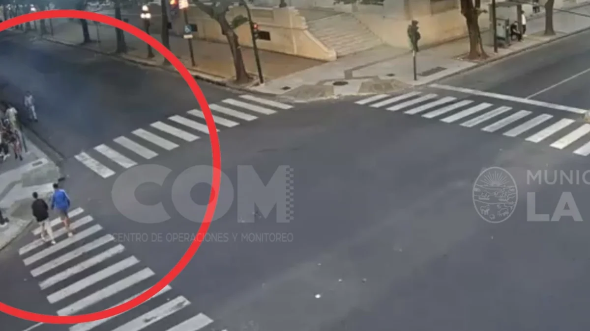 Violencia: así fue la feroz golpiza a una joven en el centro de La Plata