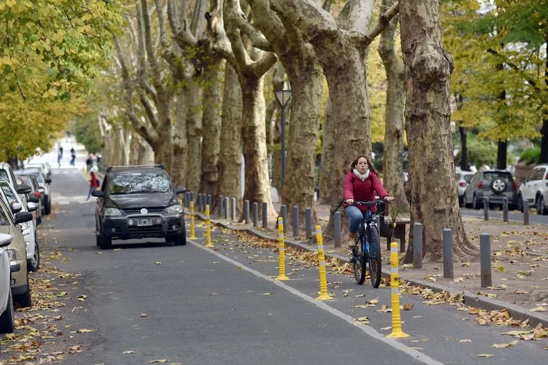 Bicisendas platenses