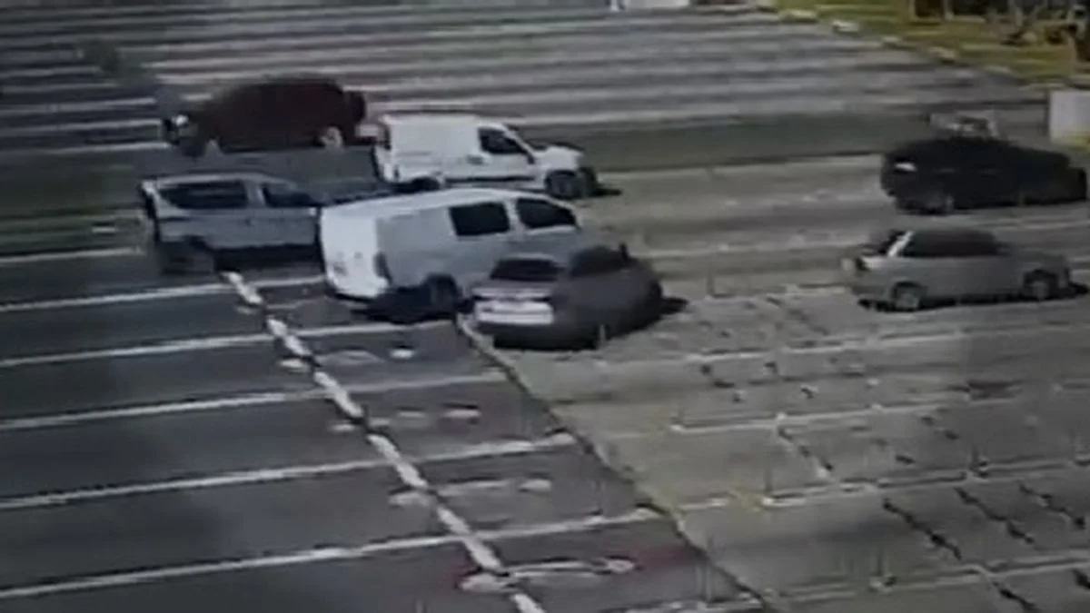 Así fue el recorrido de los conductores que pelearon en la Autopista Buenos Aires - La Plata