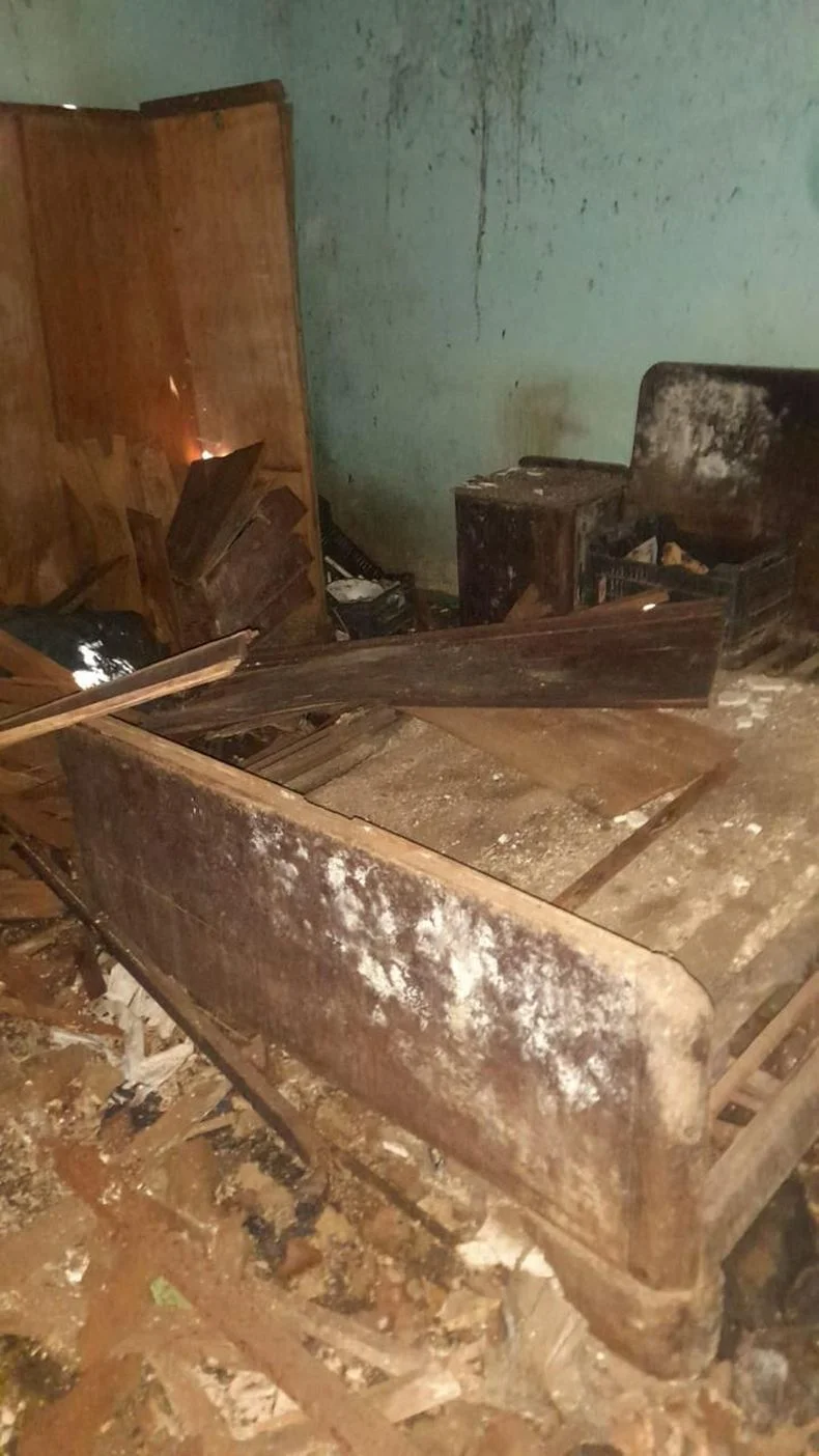 As&iacute; se ve&iacute;a el interior de la casa de Berisso donde encontraron a los animales sin vida