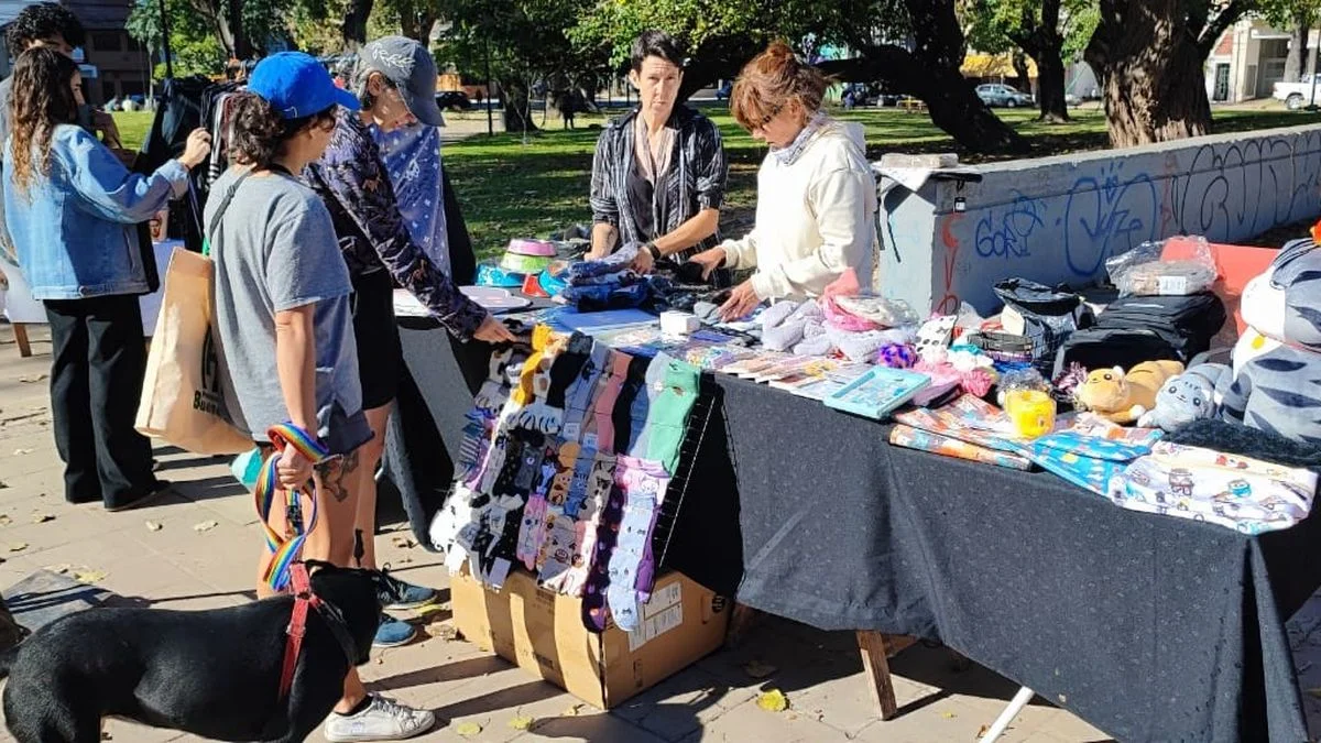 Harán una feria a beneficio de animales rescatados en La Plata