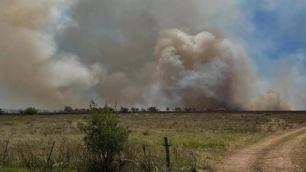 "Todavía quedan focos activos": sigue el incendio en la Reserva Natural de Punta Lara