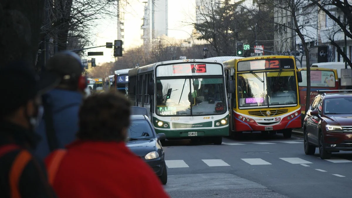 Tres líneas de micros La Plata, con retención de tareas por falta de pago