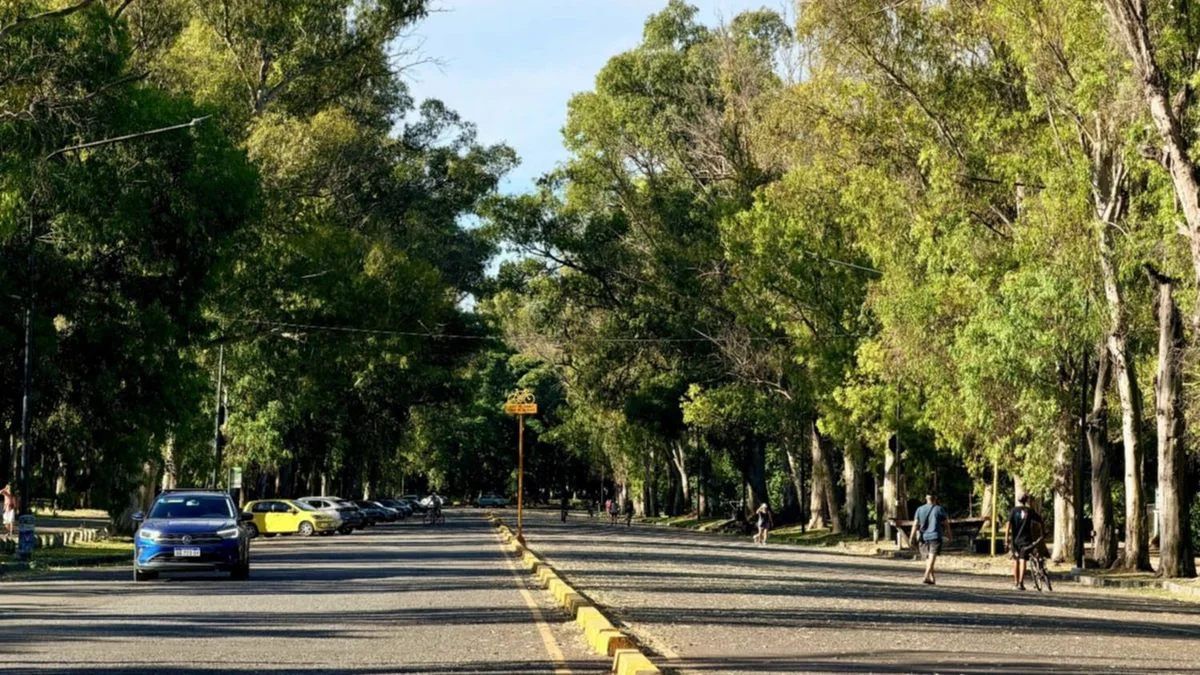 Terror en el Bosque de La Plata: buscan identificar a un hombre que se masturba frente a mujeres