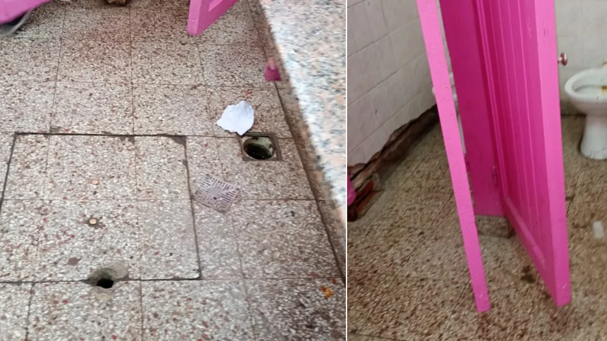 Denuncian "condiciones insalubres" en una escuela de La Plata