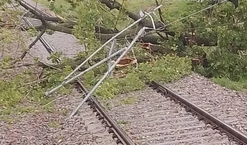 Caída de ramas, cortes de luz y servicio limitado en el Tren Roca en La Plata